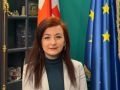 ქართული ენისა და ლიტერატურის რეპეტიტორი