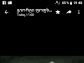 ძაღლების გასეირნება