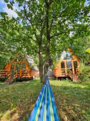 Therapy Cottage