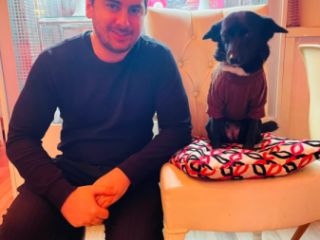 ვეტერინარის მომსახურება გამოძახებით სურათი 3