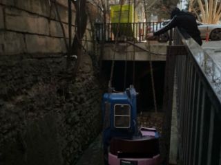 მინი ექსკავატორის გაქირავება სურათი 6