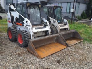 ბობკატი სურათი 2