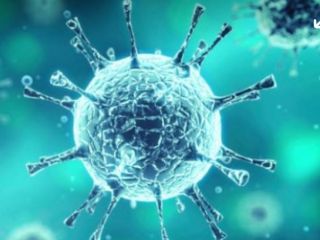 ექთნის მომსახურება ბინაზე სურათი 1