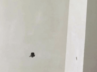 გიპერით ლესვა უახლესი აპარატით სურათი 3