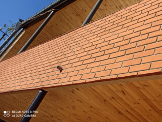 მალიარი სურათი 4