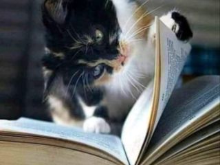 მათემატიკა ონლაინ სურათი 2