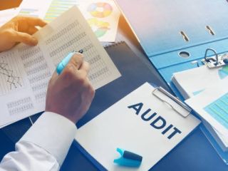 აუდიტორული მომსახურება სურათი 1