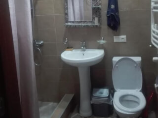 გესთ ჰაუსი "არტიშა" სურათი 5