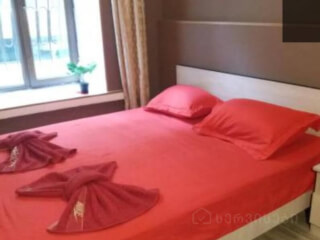 გესთ ჰაუსი "არტიშა" სურათი 7