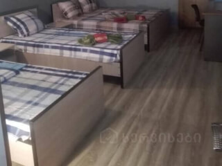 გესთ ჰაუსი "არტიშა" სურათი 8