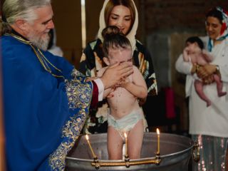 ფოტო/ვიდეო მომსახურეობა სურათი 8