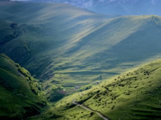 ფოტო/ვიდეო გადაღება სურათი 18