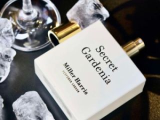 ფოტო/ვიდეო გადაღება სურათი 8