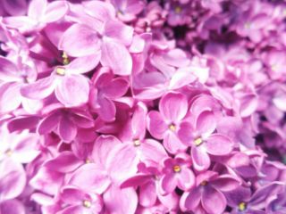 ფოტო ვიდეო გადაღება სურათი 6