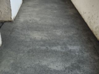 სტიაშკის დასხმა სურათი 4