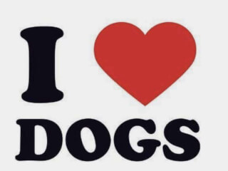 ძაღლის გასეირნება სურათი 1