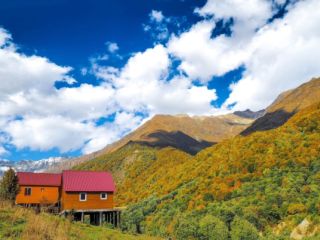 ქირავდება ორი სრულად აღჭურვილი კოტეჯი  სურათი 6