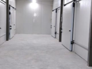 ნიადაგის მომზადება, ბეტონის დასხმა / გაპრიალება სურათი 10