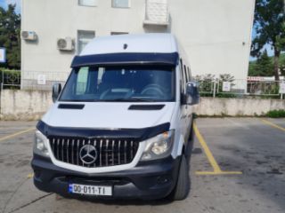 მიკროავტობუსის მომსახურება სურათი 13