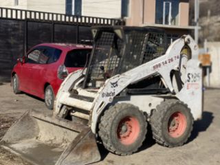 ბობკატი სურათი 1