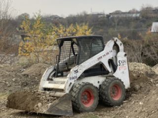 ბობკატი სურათი 2