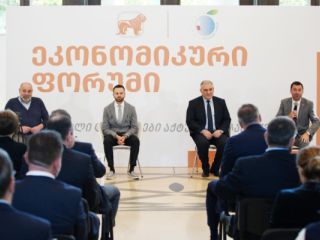 კონფერენციების, შეხვედრების, ღონისძიებების  გადაღება სურათი 4