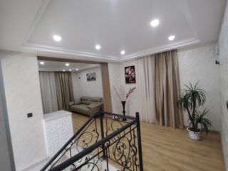 Მალიარკა სურათი 1