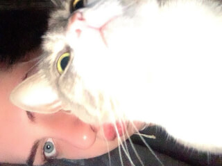 შინაური ცხოველების მოვლა-გასეირნება-დატოვება სურათი 1