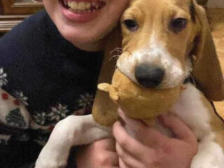 შინაური ცხოველების მოვლა-გასეირნება-დატოვება სურათი 28