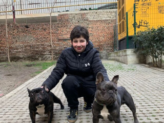 შინაური ცხოველების მოვლა-გასეირნება-დატოვება სურათი 30