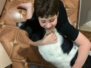 შინაური ცხოველების მოვლა-გასეირნება-დატოვება სურათი 31