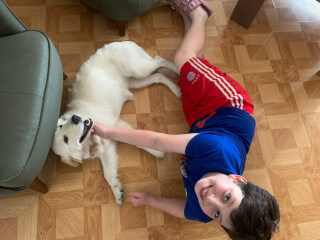 შინაური ცხოველების მოვლა-გასეირნება-დატოვება სურათი 32