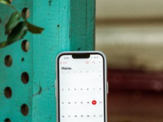 პროფესიონალური ფოტომომსახურება სურათი 67