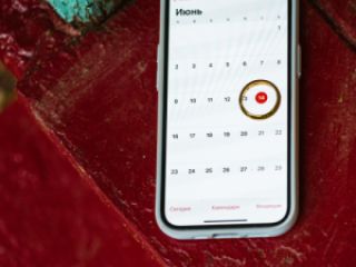 პროფესიონალური ფოტომომსახურება სურათი 77