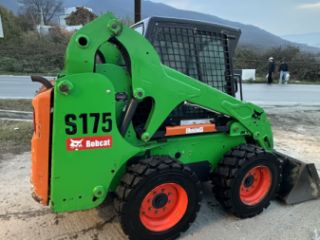 ბობკატი სურათი 1