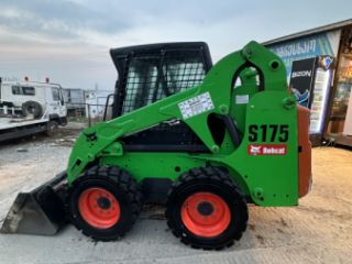 ბობკატი სურათი 2