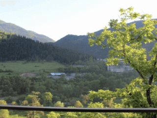 "ლიკანიჰაუსის" კოტეჯი ბორჯომში სურათი 1