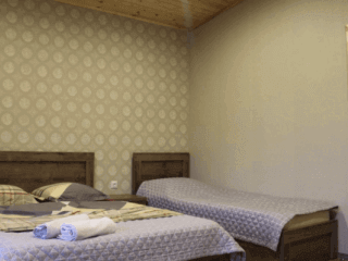 "ლიკანიჰაუსის" კოტეჯი ბორჯომში სურათი 10