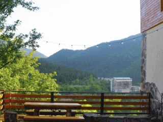 "ლიკანიჰაუსის" კოტეჯი ბორჯომში სურათი 2