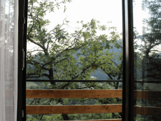 "ლიკანიჰაუსის" კოტეჯი ბორჯომში სურათი 6