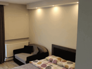 "ლიკანიჰაუსის" კოტეჯი ბორჯომში სურათი 7