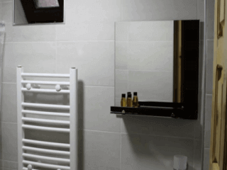 "ლიკანიჰაუსის" კოტეჯი ბორჯომში სურათი 8