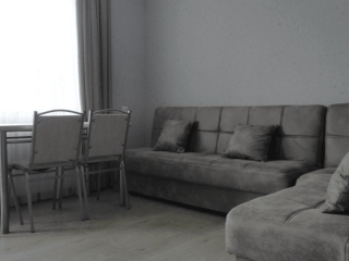 ქირავდება კოტეჯი ცემში სურათი 2