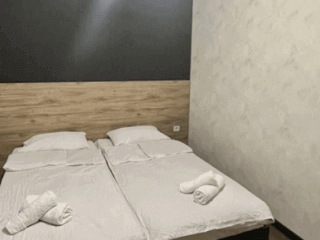 კოტეჯი ბაკურიანში სურათი 10