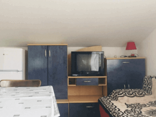 ქირავდება კოტეჯი ცემში სურათი 5