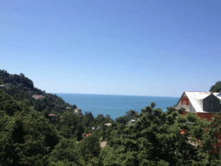 როიალ ჰაუსი სურათი 7