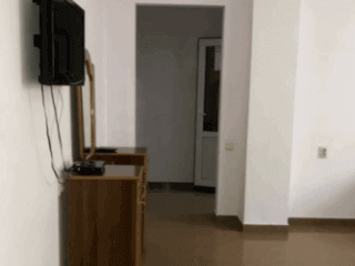 ჩიტო გვრიტო სურათი 1