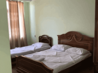 ჩიტო გვრიტო სურათი 10