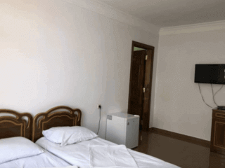 ჩიტო გვრიტო სურათი 11