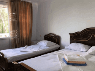 ჩიტო გვრიტო სურათი 5